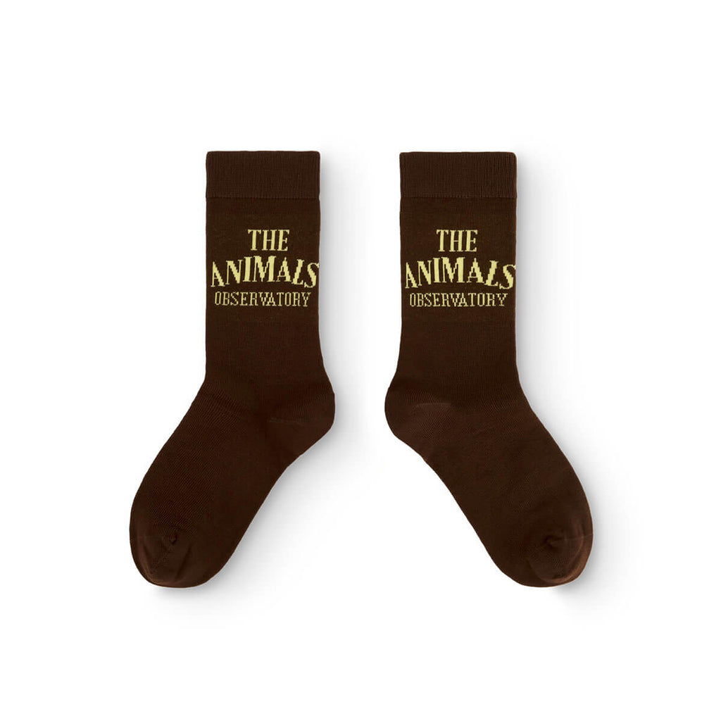 Chaussettes décontractées en coton marron uni pour enfants avec bord-côte pour tout-petits