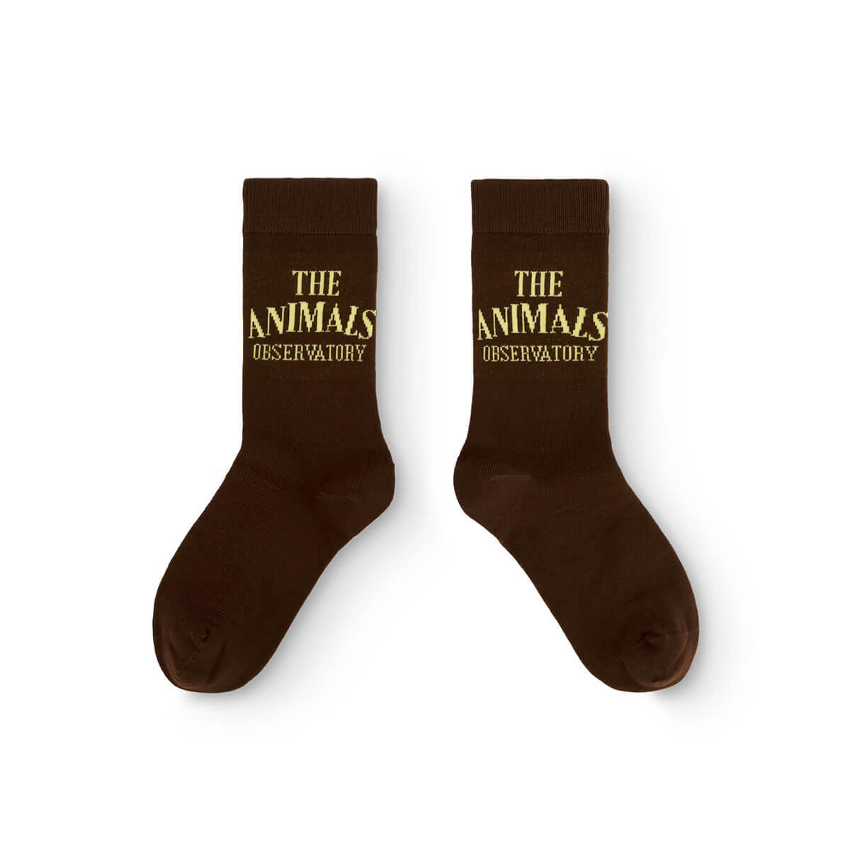 Chaussettes décontractées en coton marron uni pour enfants avec bord-côte pour tout-petits